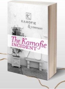 0316-kamofie-boox-ex2-credit