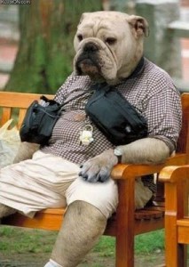 Meet your new boss...