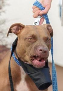 FILES - Picture taken 24 August 2000 in