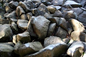 A gang of Washington, D.C. rocks, plotting an attack on city buses.