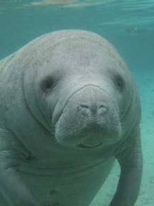 Interestingly, not the slowest participant in this situation...