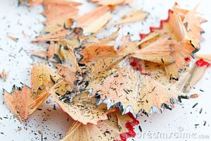 The latest in teaching aids in Arlington, Texas