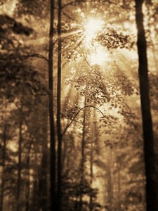 Ah, sunlight! When all the machinations are revealed, it's a lot harder to be unethical.