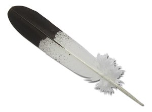 eagle feather