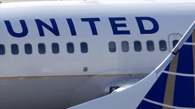 "Hey everybody! Free fights!!!"