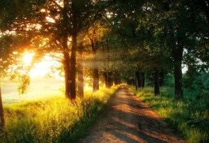 Isn't it a beautiful day?