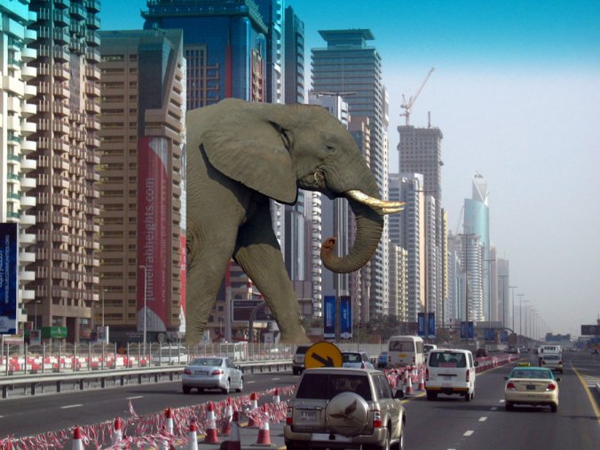 There's no elephant. Do you see an elephant?