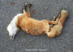 You are dead to me, Firefox. Tell your mama.