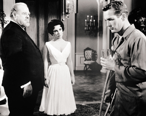 "Yes, why DON'T you want to make love to a young Liz Taylor, Brick? I've been wondering about that myself..."