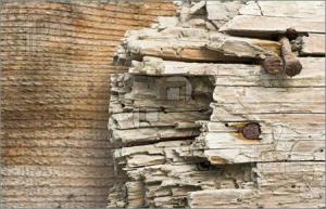 Old-Rotten-Planks