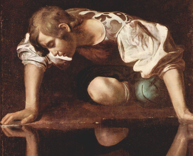 narcissus