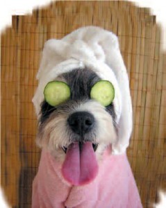 It's a dog's life, whatever THAT means...