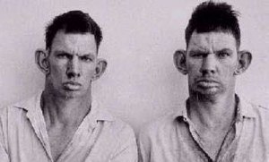 And they read The Huffington Post!