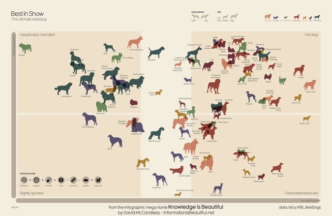 Dog Chart