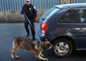 "Not there, you idiot! Remember, my cousin said to find those drugs he planted UNDER the car!"