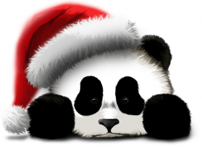 sad_panda_in_christmas_hat