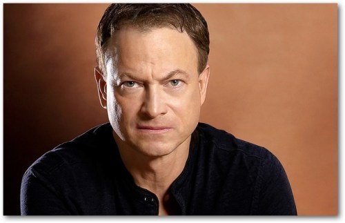 gary-sinise