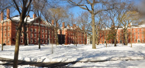 Harvard_yard_winter_2009j