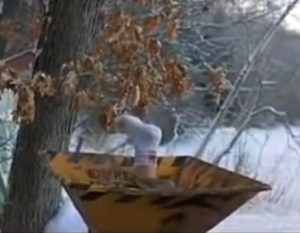 "Wait, let's not leap to conclusions...maybe he's not dead."