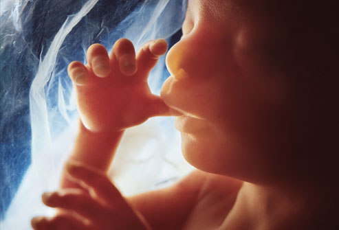 A fetus at 20 weeks: "Sorry, kid, your dad was a rapist, so you're not human any more..."