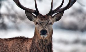 This was all YOUR fault...