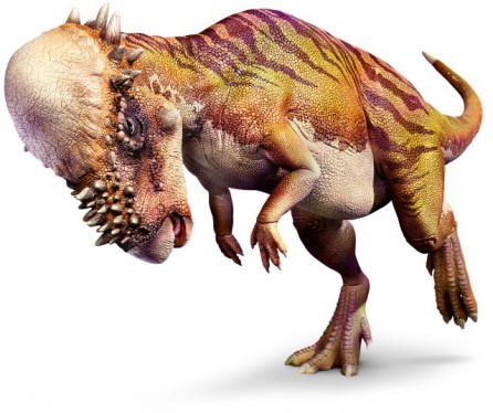 Pachycephalosaurus