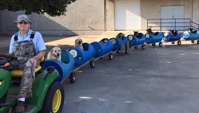 Dog Train