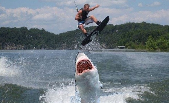 jumping the shark