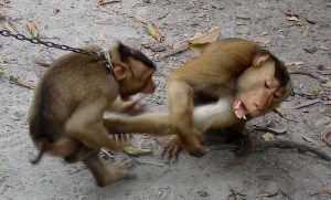 By all means, this should be our model for political discourse...