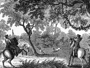 Another day of fun at the YMCA Camp!