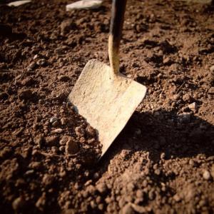 "Now, you're sure about this, right?"