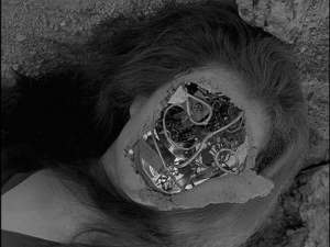 "Uh, class, about my teaching assistant Jill..."