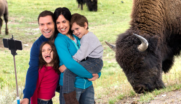 bison-selfie