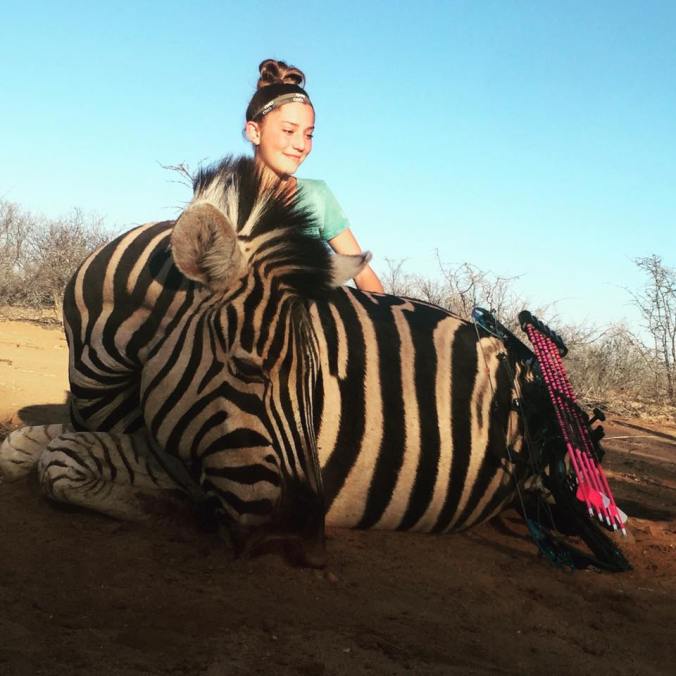 Zebra kill