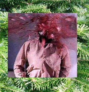 Thank you and Merry Christmas, Carl Palladino.