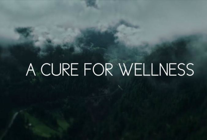 ...but none for stupidity.