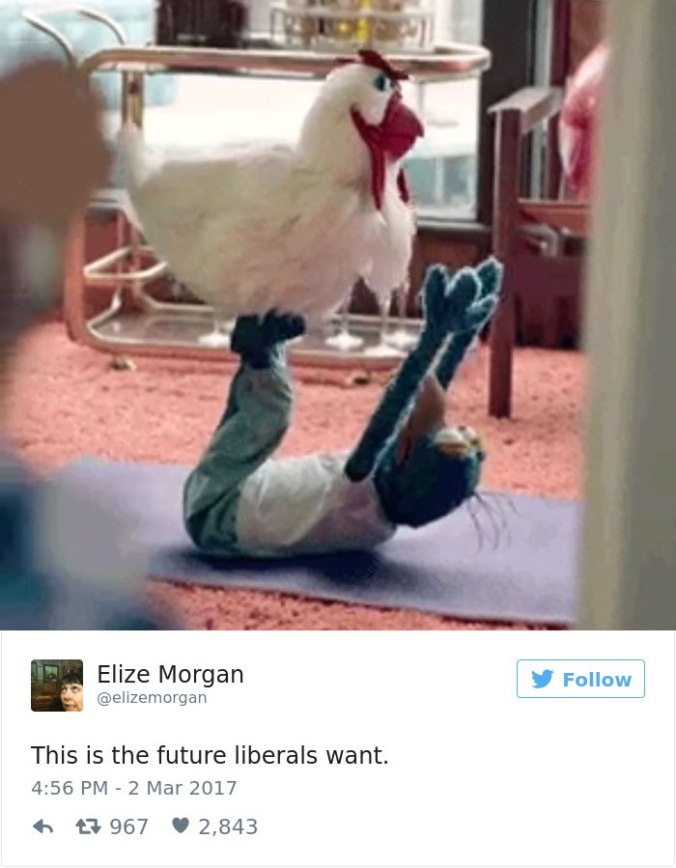 future-that-liberals-want-twitter-meme-6