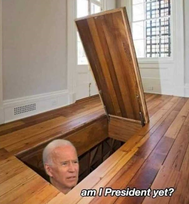 Hiding Biden meme