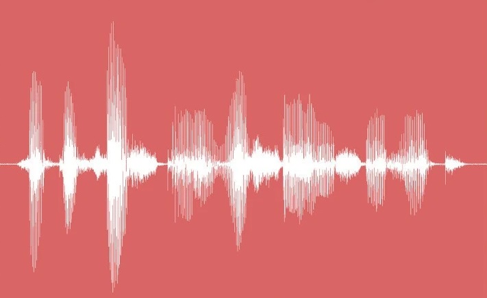 Voiceprint