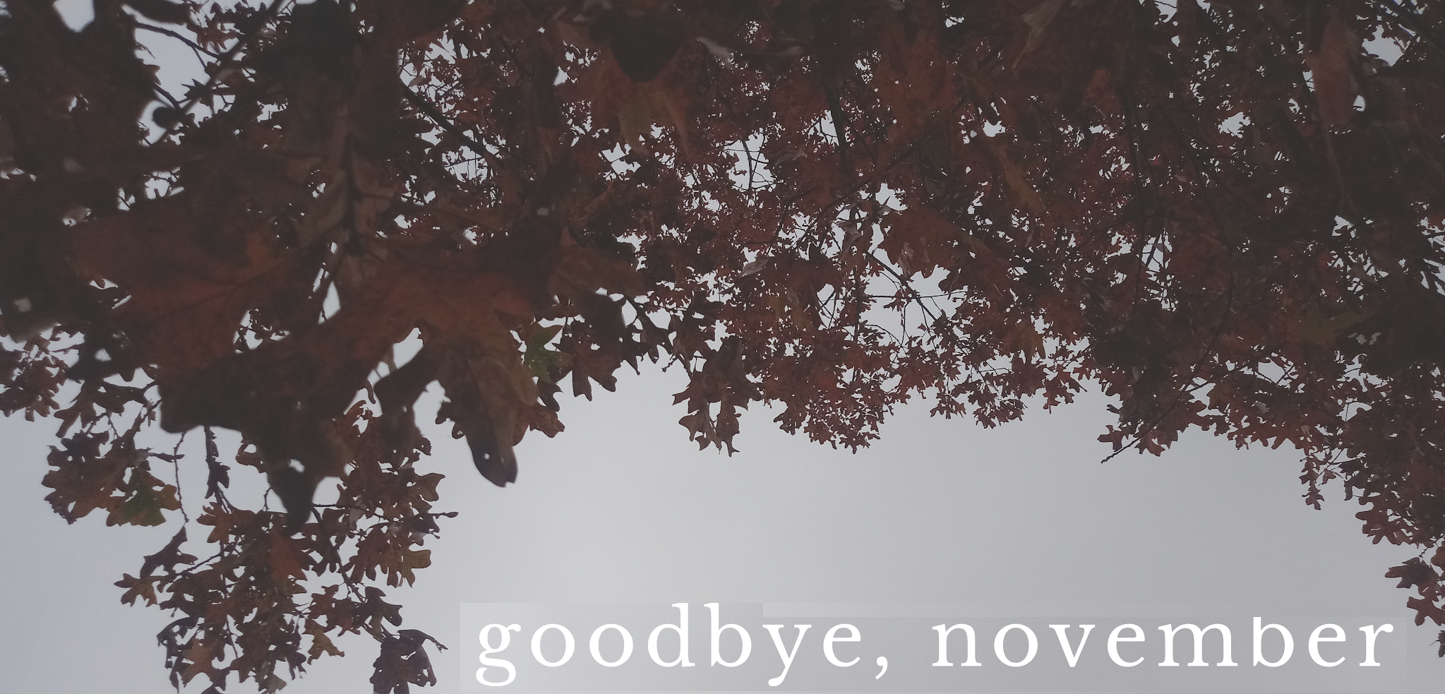 Bye November